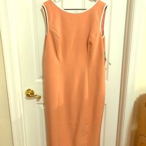 Eva Mendes Orange Creamsicle Sleeveless Dress